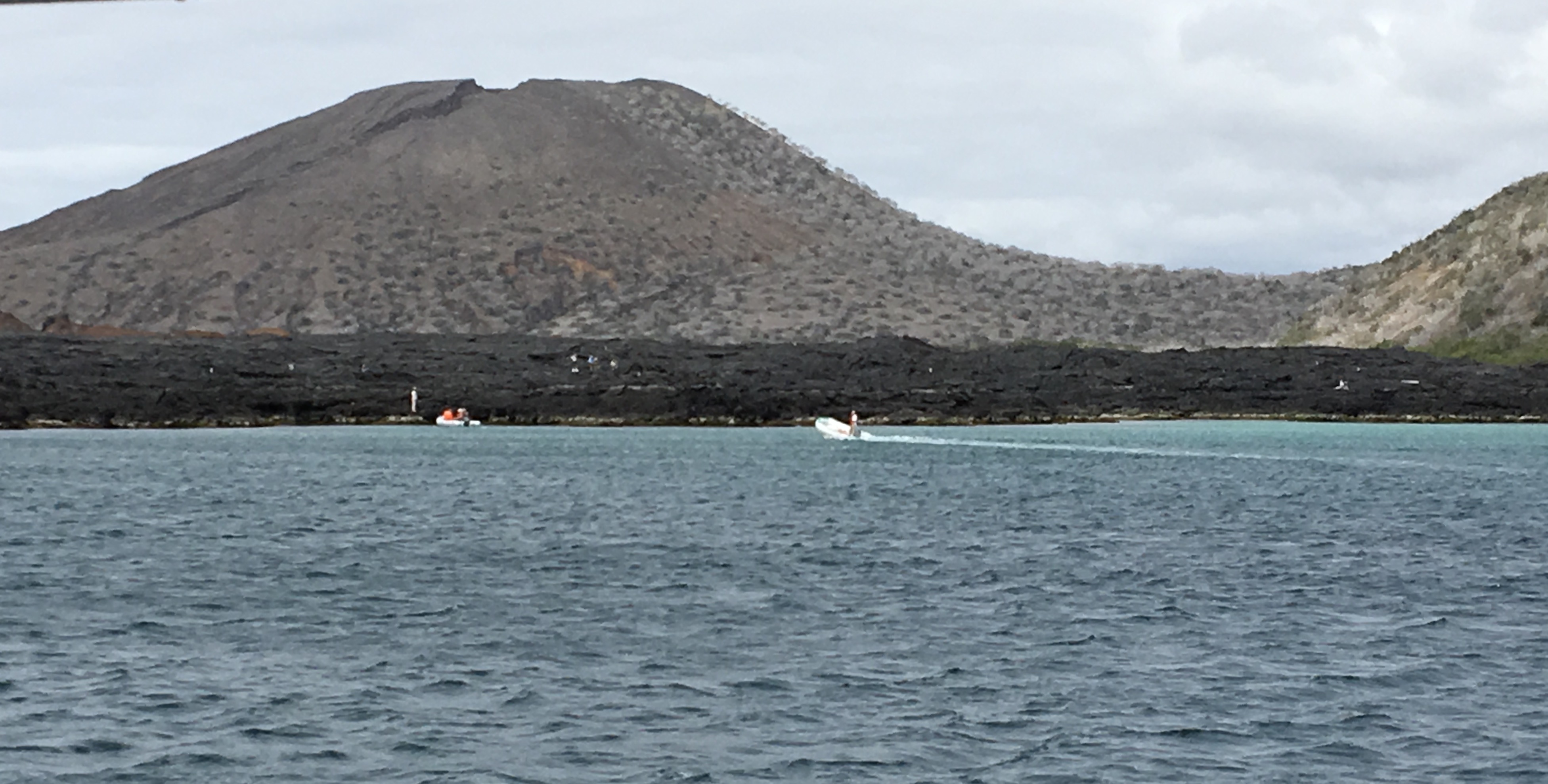 image1.JPG